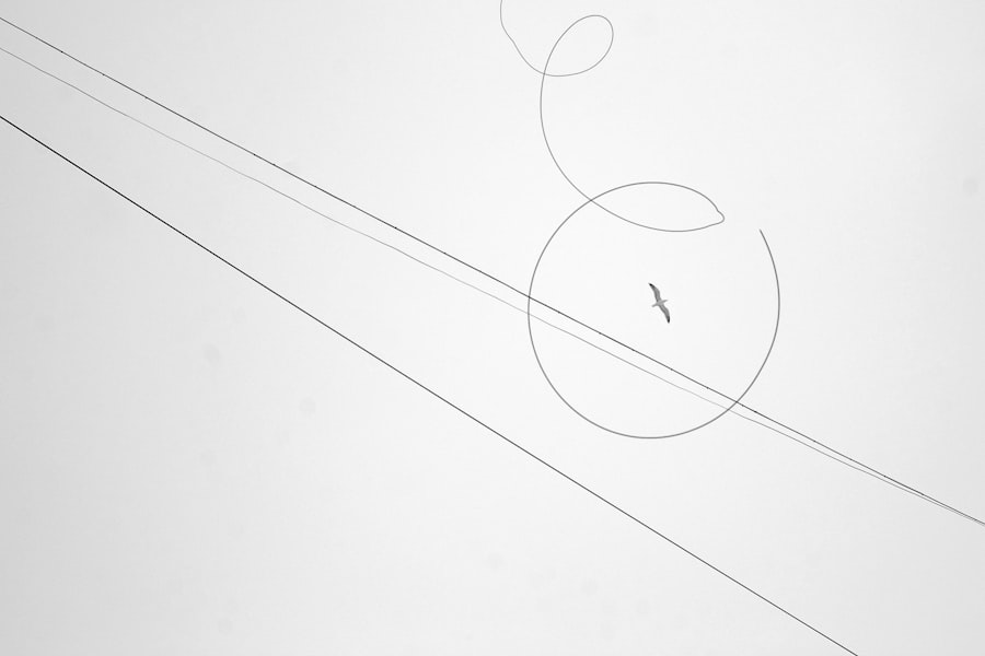 Photo web animations